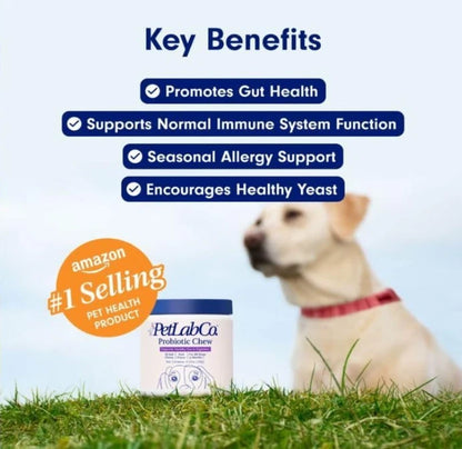 PetLab Co. Probiotics for Dogs, Support Gut Health, Occasional Diarrhea, Digestive Health & Seasonal Allergies - Pork Flavor - 30 Soft Chews - Packaging May Vary